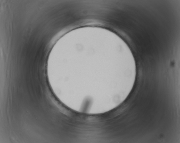 X0000115731375200912241617