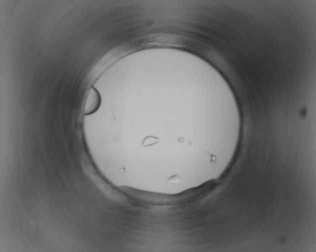 X0000115731378200912241617