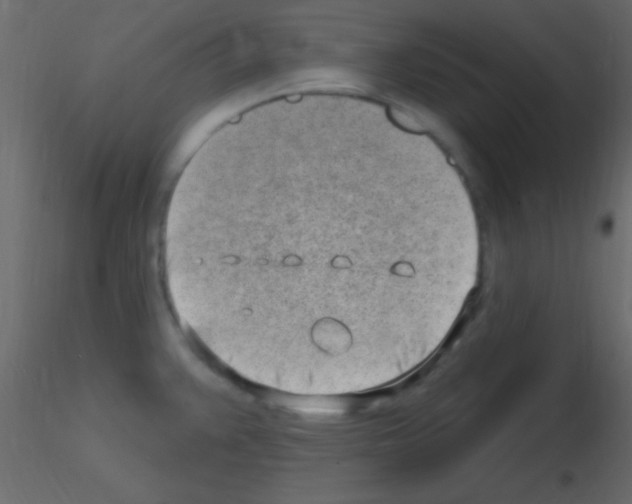 X0000115731383200912241617