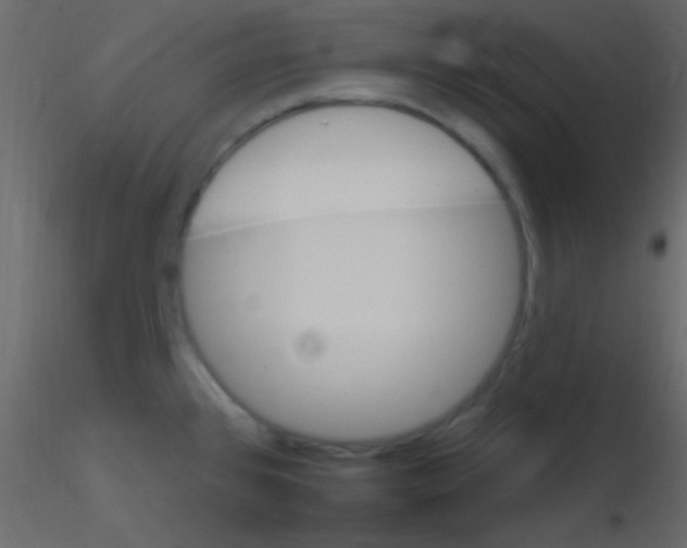 X0000115731384200912241617