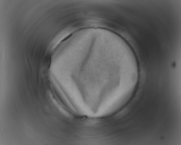 X0000115731385200912241617