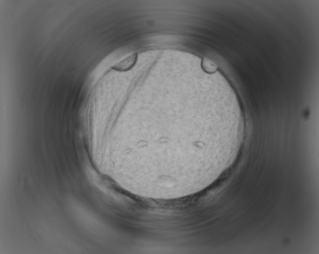 X0000115731386200912241617
