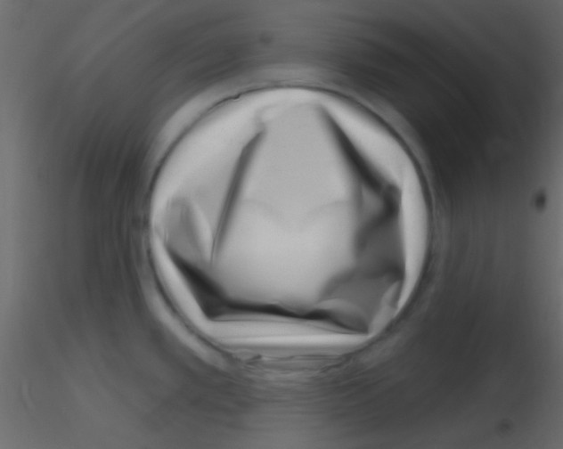 X0000115731389200912241617