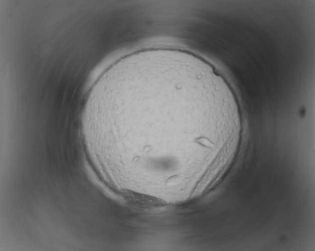 X0000115731390200912241617