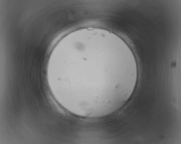 X0000115731392200912241617