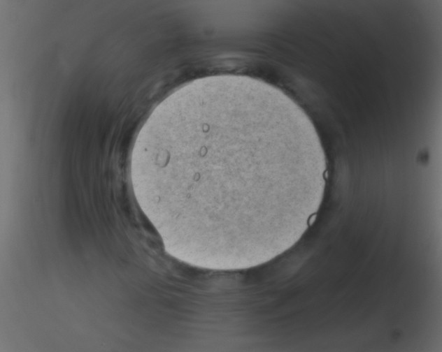 X0000115731394200912241616