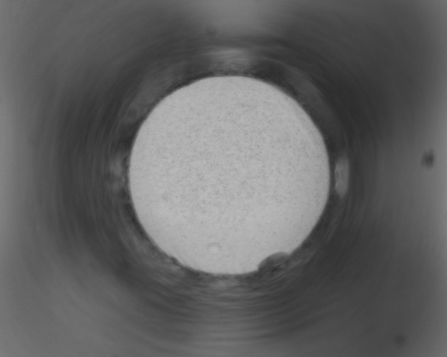 X0000115731395200912241616