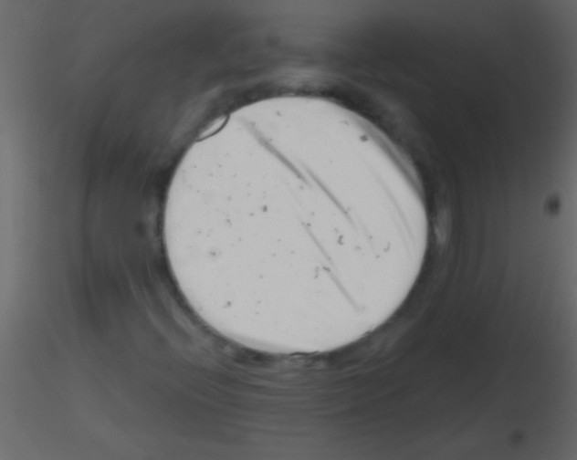 X0000115731396200912241616