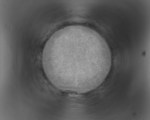 X0000115731397200912241616