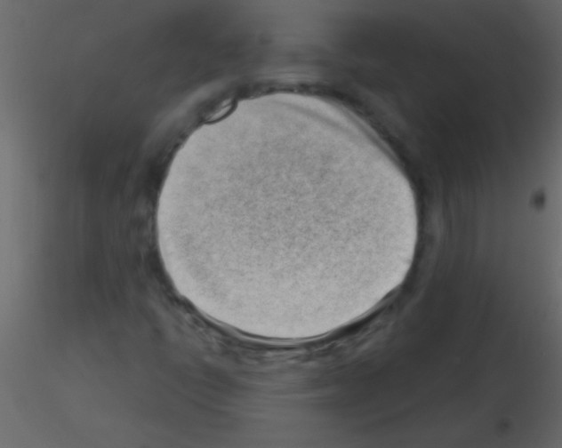 X0000115731398200912241616