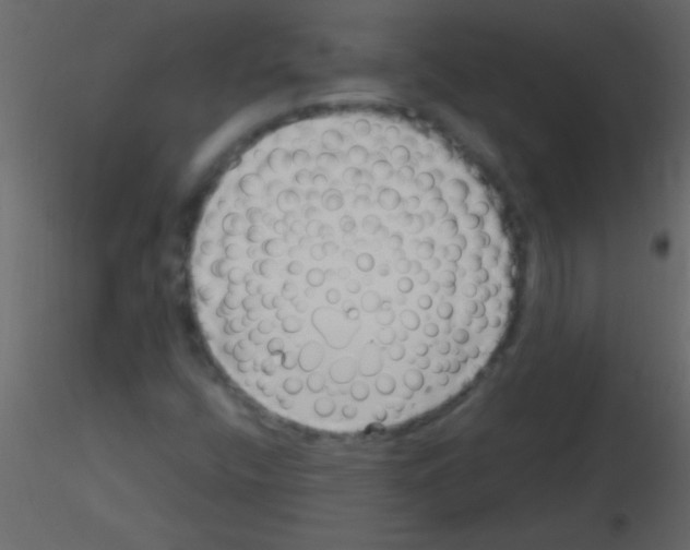 X0000115731400200912241616