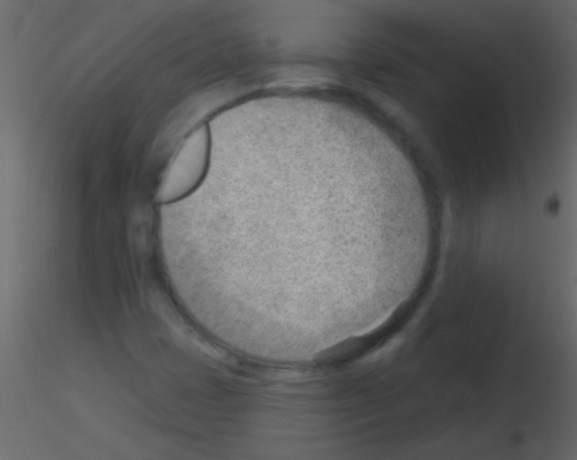 X0000115731401200912241616