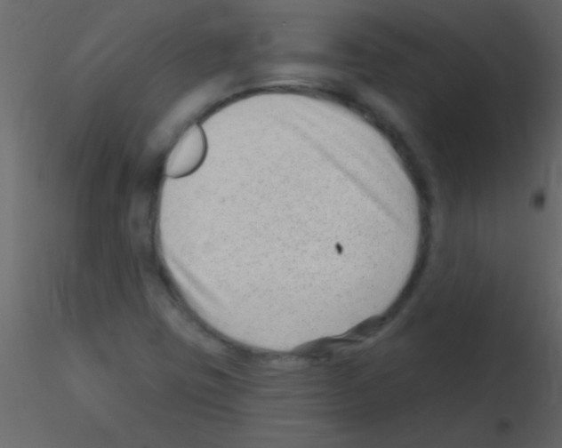 X0000115731403200912241616
