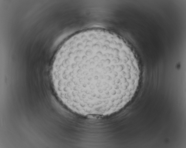 X0000115731404200912241616