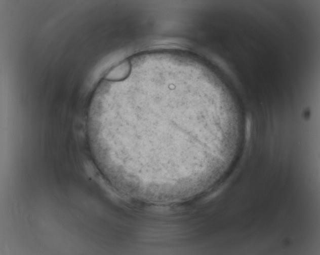 X0000115731405200912241616
