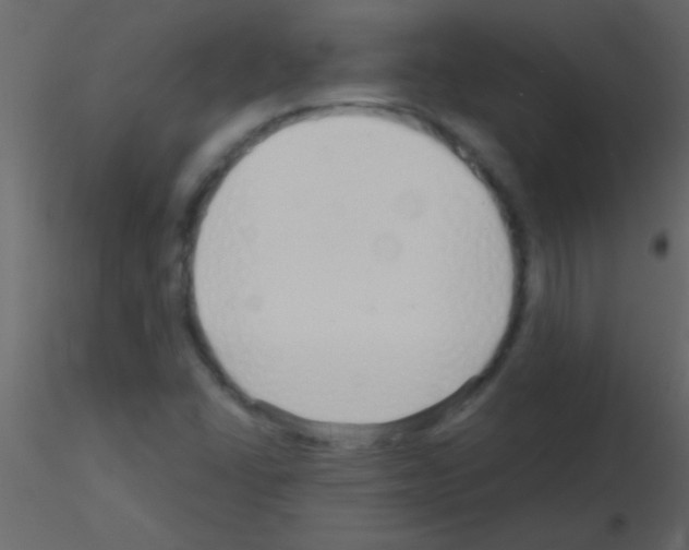 X0000115731406200912241616