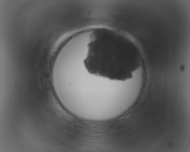 X0000115731408200912241616