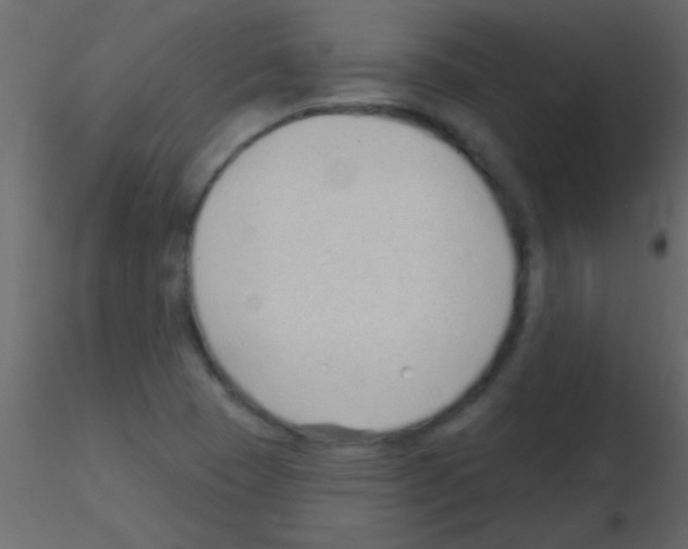 X0000115731409200912241617