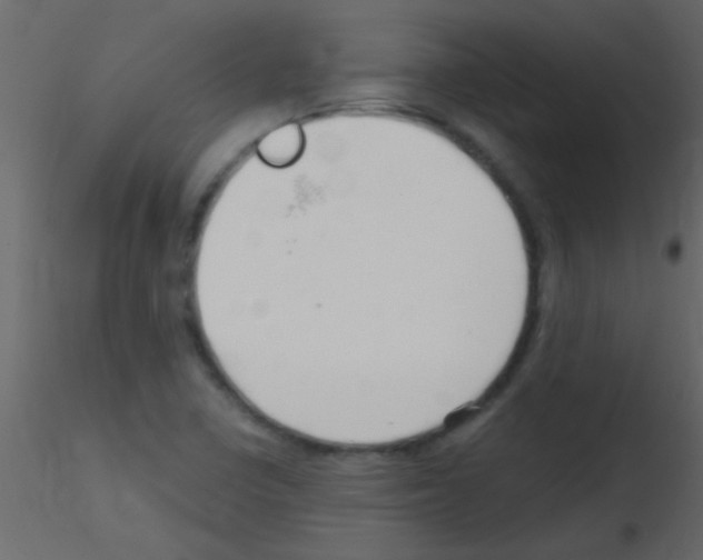 X0000115731410200912241617