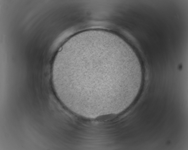 X0000115731411200912241617