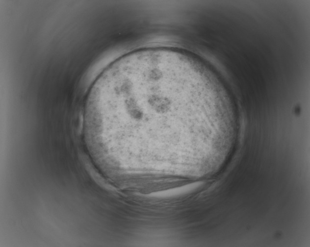 X0000115731413200912241617