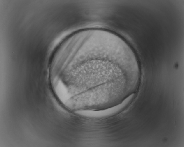 X0000115731414200912241617