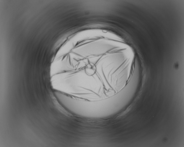 X0000115731417200912241617