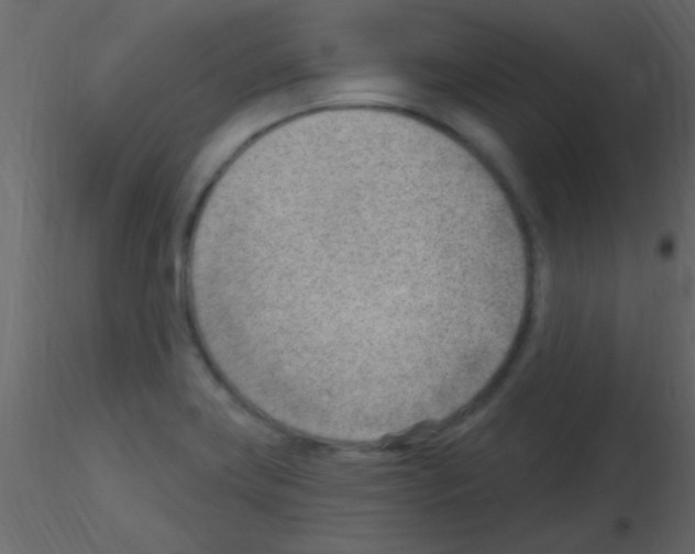 X0000115731419200912241617