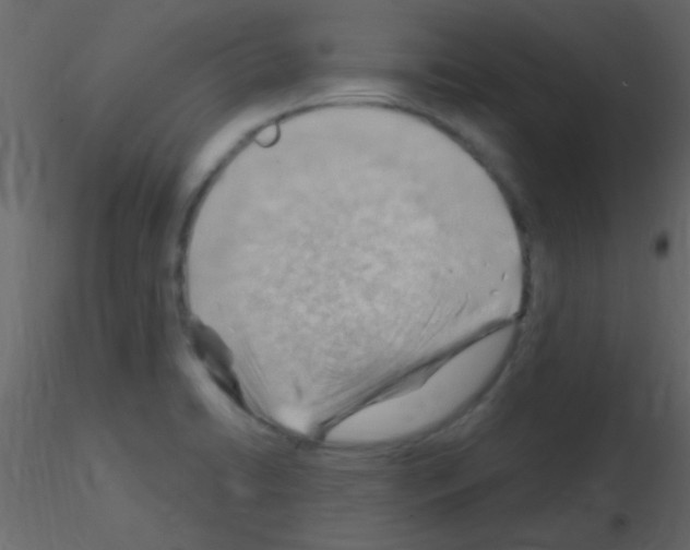 X0000115731422200912241617