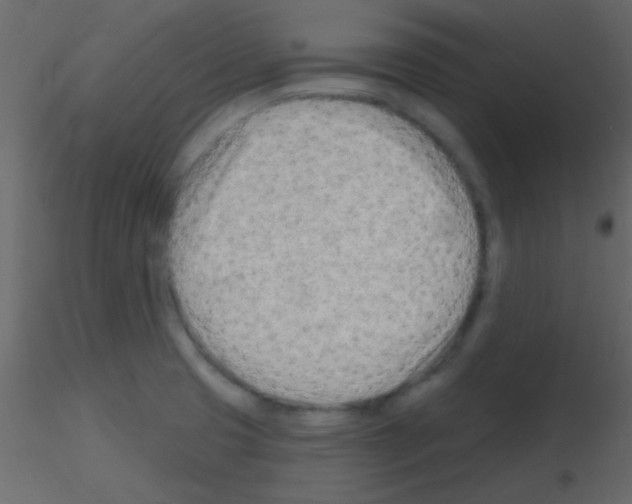 X0000115731425200912241617