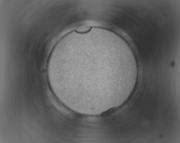 X0000115731427200912241617