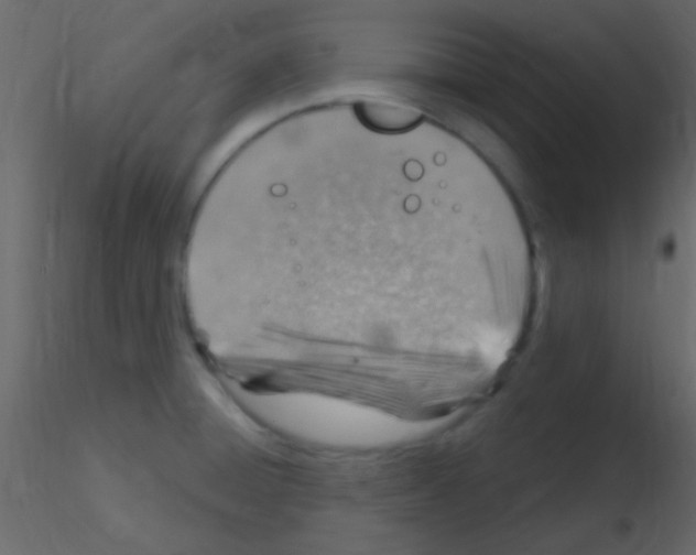 X0000115731428200912241617