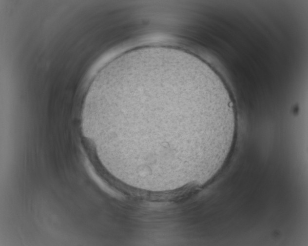 X0000115731429200912241617