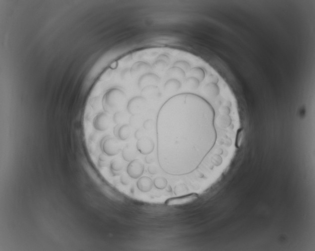 X0000115731432200912241617