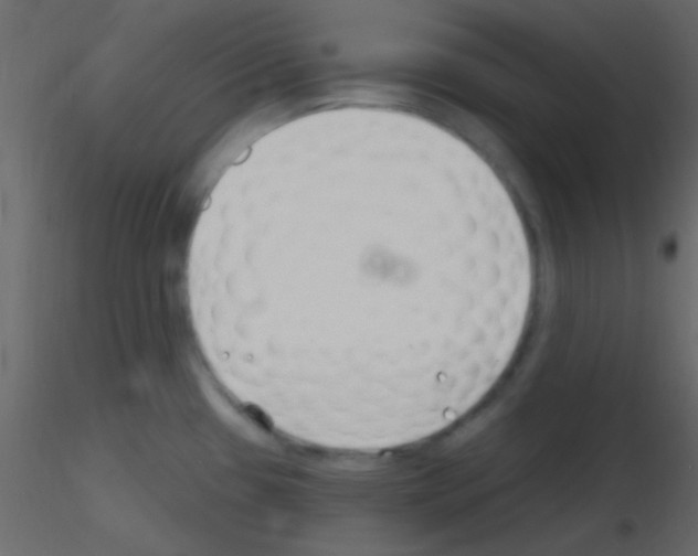 X0000115731433200912241617