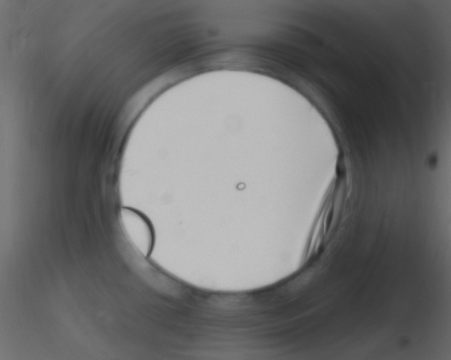 X0000115731434200912241617