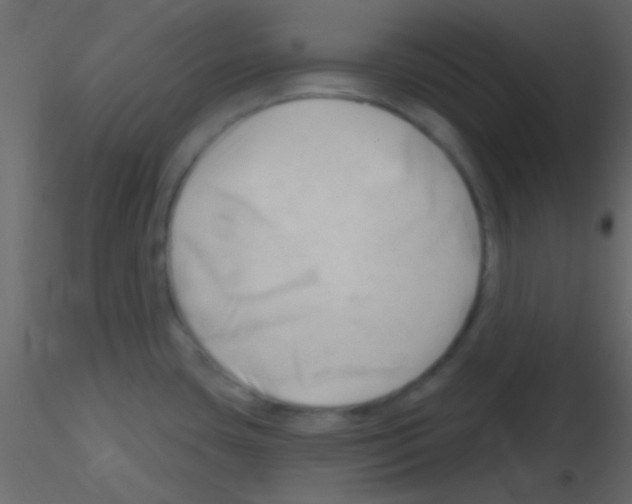 X0000115731435200912241617