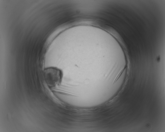 X0000115731436200912241617