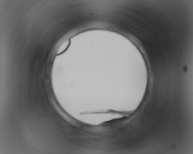 X0000115731437200912241617