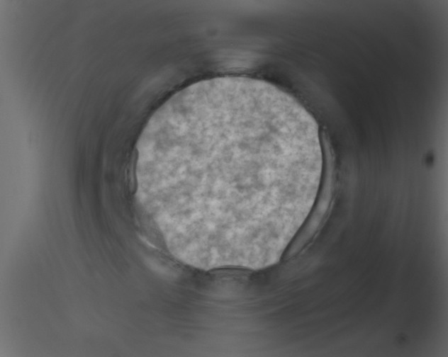 X0000115731441200912241616