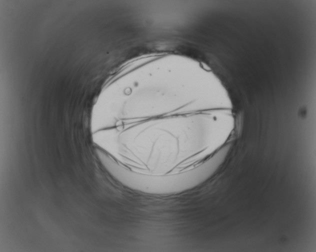 X0000115731443200912241616
