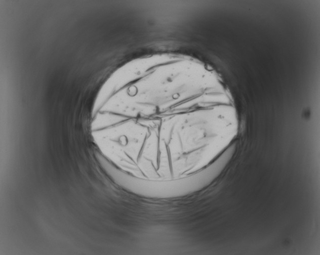 X0000115731444200912241616