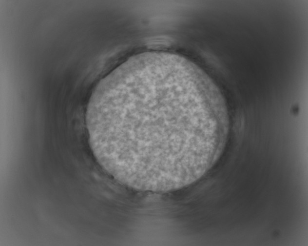 X0000115731445200912241616