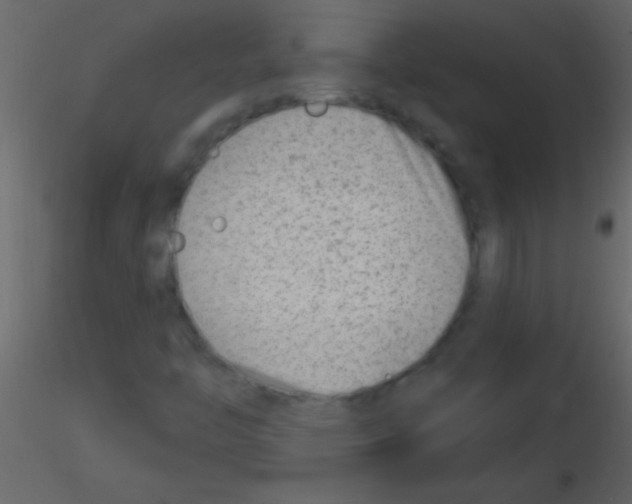X0000115731446200912241616