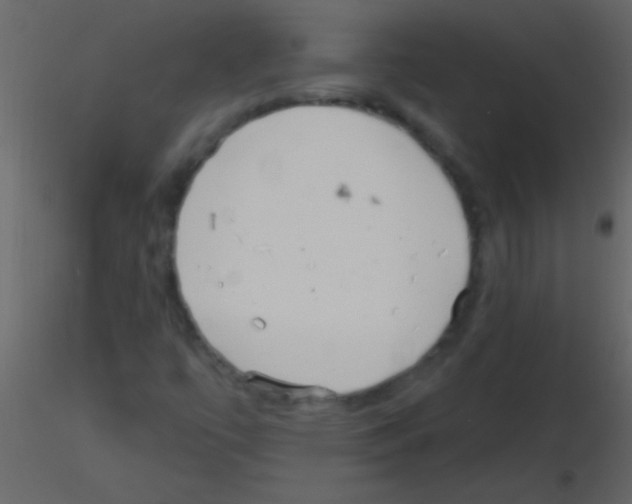 X0000115731447200912241616