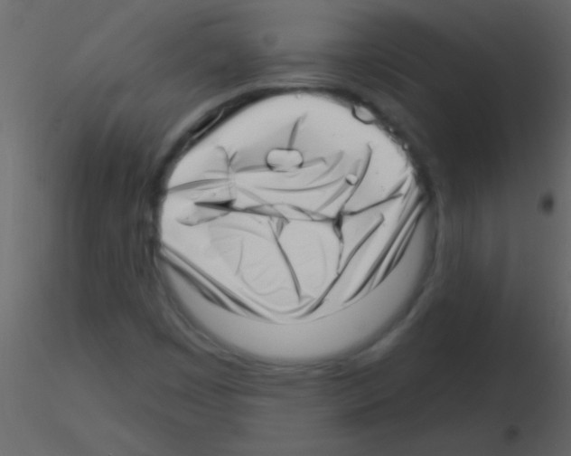 X0000115731449200912241616