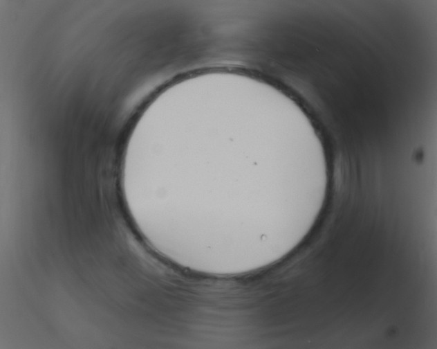 X0000115731452200912241616