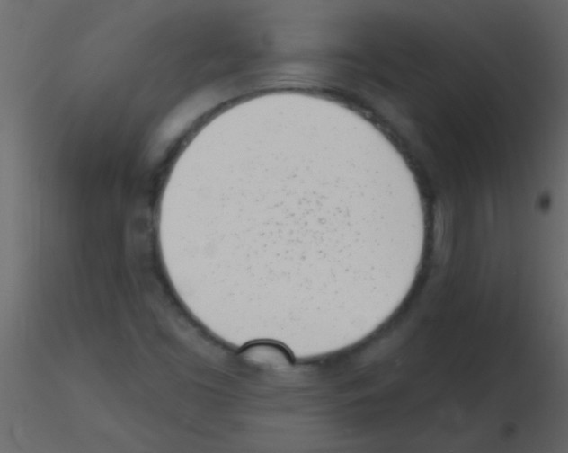 X0000115731453200912241616