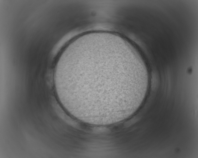 X0000115731454200912241616