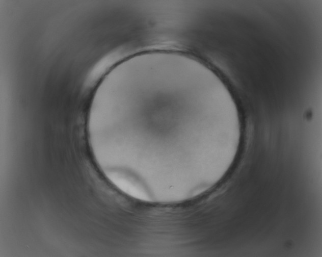 X0000115731455200912241616